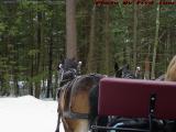 Dashing Through the Snow, Charmingfare Sleigh Ride, NH