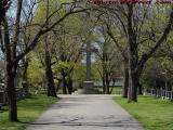 New Spring Perspective, St. Paul Cemetary, Arlington
