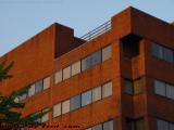 Brickwork in Sunset Light, Near Fresh Pond, Cambridge
