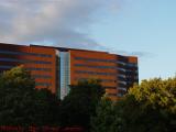 Architecture Tonal Study, Near Kendall Square, Cambridge