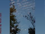 October Moon Rising in a Late Afternoon Sky, Malden