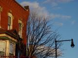 Brickwork and Bare Trees in Late Afternoon Sun, Cambridge