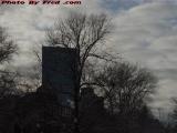 Winter Trees and Skyline Perspective, Boston Commons