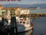 Fishing Harbor's Back Boat Yard, Gloucester, Massachusetts