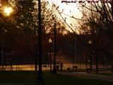 Tennis Courts in Spring Sunset Light, Boston Common
