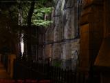 Buttresses, Lights and Leaves, Holy Cross, Boston
