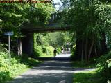 Minuteman Bikeway at Park Ave., Arlington, Massachusetts