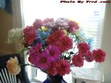 Kitchen Floral Arrangement in Morning Light, Lynn, Mass.