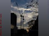 Resting Cranes Against A Marvelous Sunset, Boylston Street