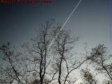 Bare Trees With Jet Streak in Late Sky, Lynn, Mass.