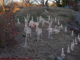 Christmas Decorations With No Snow Near Sundown, Lynn