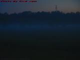 Dawn Fog on the Bog, Oneida, New York