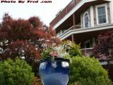 Flower Urn, Marshfield, Massachusetts