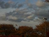 Autumn Perspective, Off Route 1, Saugus, Massachusetts