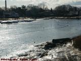 Winter Glare on Ice Rime at Low Tide, Lower Saugus River