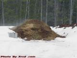 Winter Steam From the Compost, Charmingfare Farm, NH