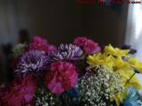 Purple Crown on Kitchen Flower Arrangement, Lynn, Mass.