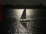 Sailing on Sunbeams, Charles River, from Cambridge