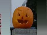Jack-O-Lantern, Outside Davis Square, Somerville, Mass.