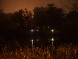 Elginwood Pond Perspective in Available Light, Peabody