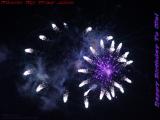 Happy Birthday to Me, Blooming Fireworks, Boston Esplanade