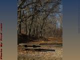 Picnic Benches Waiting For Spring to Bloom, Newton, Mass.