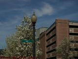 Boston in Bloom, South Boston Perspective With Wispy Sky