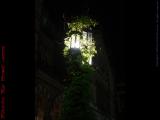 Overgrown Lamp Post at Old South, Boylston Street, Boston