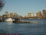 Yacht Club Waiting to Burst from Cocoons, Charles River
