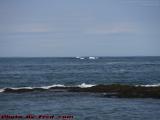 Navigating Shoals Near and Far, Cape Elizabeth