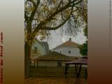 Cloudy Autumn Backyard Perspective, Brookings St., Medford