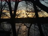 Sunset's Glow Through Tangled Trees, Suntaug Lake, Peabody