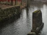 Abandoned Bridge Pilings, Elginwood Pond Outlet, Peabody