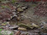 Half Ghost Stones, House Gully, Groveland, New York