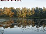 Edge Lit Trees Reflected on Crystal Pond, Peabody, Mass.
