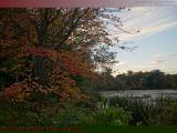 Foliage Touched By Autumn's Brush On Sunset Sky, Peabody
