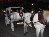 Romantic Carriage For Hire, Fanieul Hall, Boston