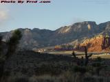 Perspective of Arid Colors, Red Rock Canyon, Nevada