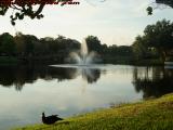 Lake Perspective With Fountain and Duck, Plantation