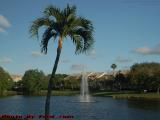 Lake Perspective With Fountain in Late Afternoon Sun