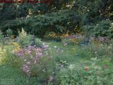 Roadside Flower Garden, West Lake Road at Long Point