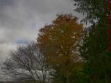 Changing Trees on Changeable Sky, Wellsville, New York