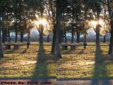 Island Park Sunset, Wellsville, NY (cross eye stereo)
