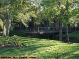 The Bridge to Nowhere, The Terraces, Plantation, Florida