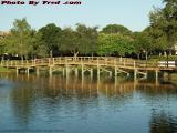 Bridge and Reflection, St. Tropez Apartments, Plantation