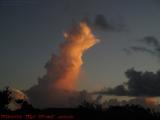 Morning Monster, Sunrise Clouds, Plantation, Florida