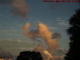 Poodle and Whatsit Confer Across a Table, Sunrise Sunset