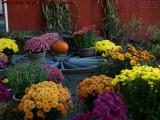 Wagon Wheel and Autiumn Flowers, Chris's Farm Stand