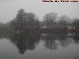 Foggy December Morning Perspective, Devil's Dishfull Pond