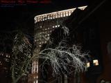 Available Light Illuminating Bare Tree, South End, Boston